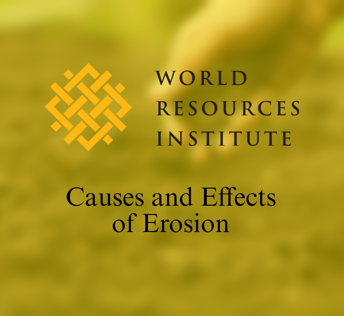 Home Soil Erosion Awareness Home Soil Erosion Awareness